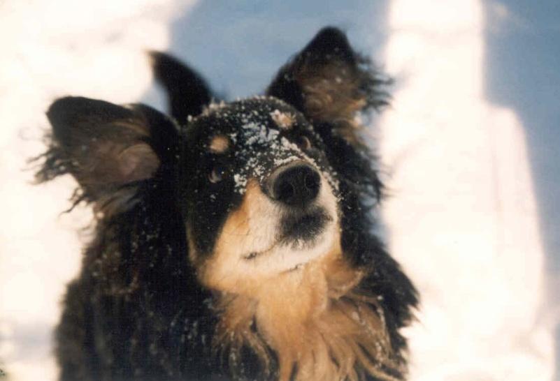 02/97 - spelen im Schnee