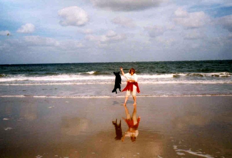 09/97 - Agility am Strand (NL)